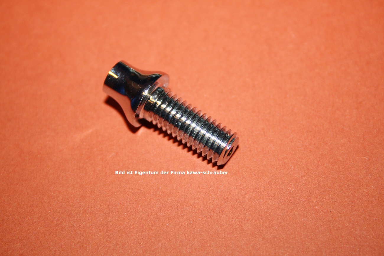 www.kawaschrauber.de